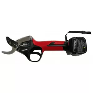 ΨΑΛΙΔΙ ΚΛΑΔΕΜΑΤΟΣ PS 22-38