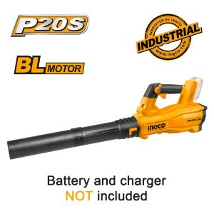 ΦΥΣΗΤΗΡΑΣ ΦΥΛΛΩΝ INGCO 20V SOLO