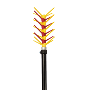 ΕΛΑΙΟΡΑΒΔΙΣΤΙΚΟ ΑΓΓΕΛΗΣ ΔΥΟ ΚΕΦΑΛΕΣ